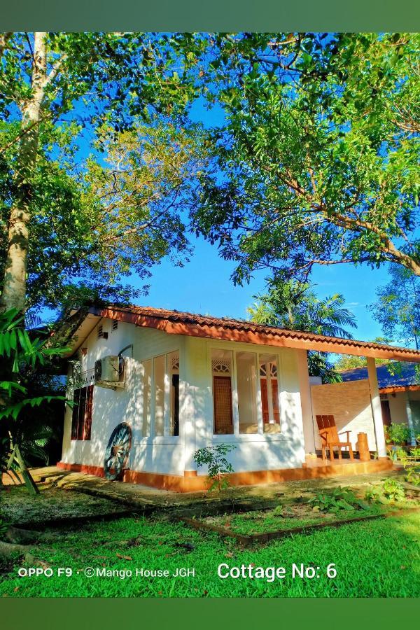 Mango House Japanese Guest House Negombo Ngoại thất bức ảnh