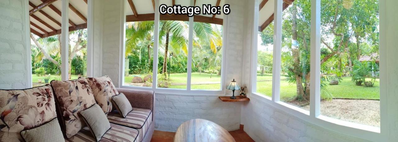 Mango House Japanese Guest House Negombo Ngoại thất bức ảnh