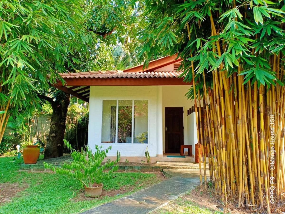 Mango House Japanese Guest House Negombo Ngoại thất bức ảnh