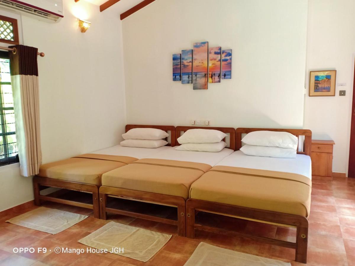 Mango House Japanese Guest House Negombo Ngoại thất bức ảnh