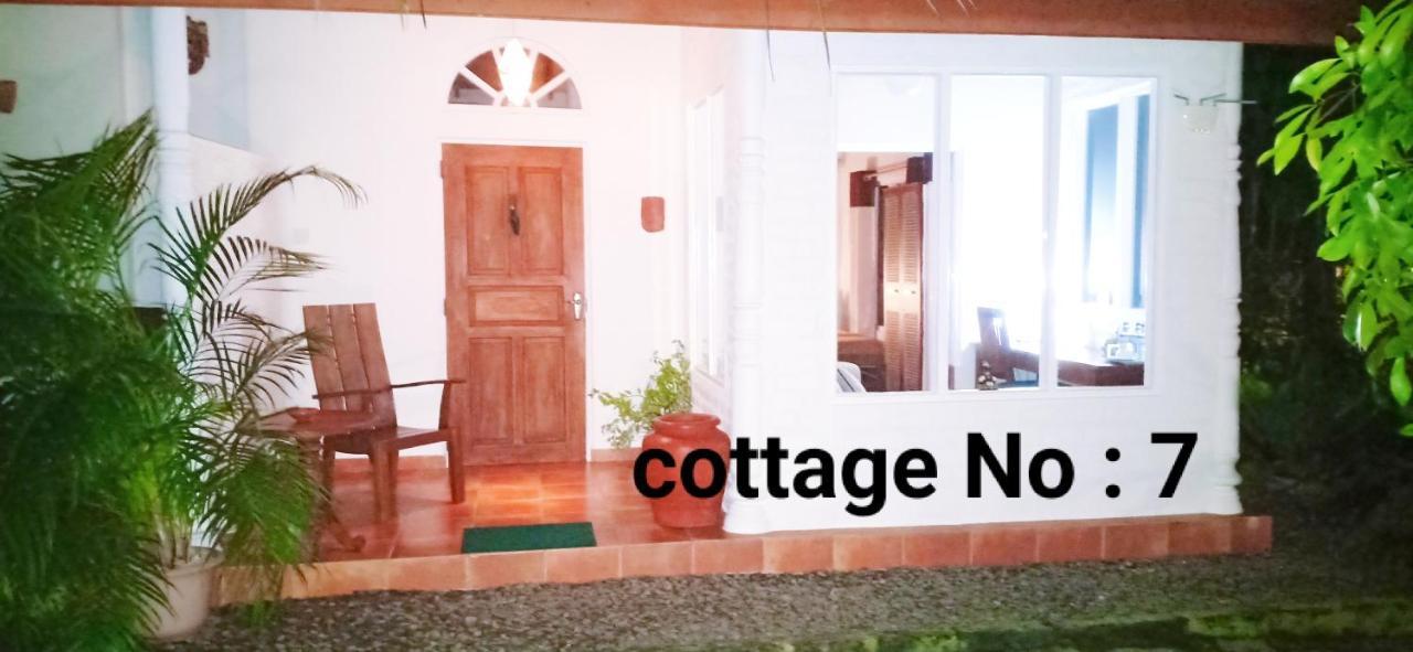 Mango House Japanese Guest House Negombo Phòng bức ảnh