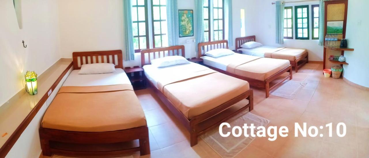 Mango House Japanese Guest House Negombo Ngoại thất bức ảnh