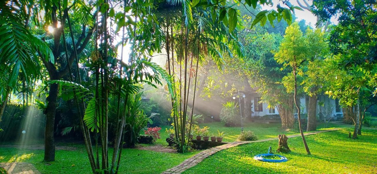 Mango House Japanese Guest House Negombo Ngoại thất bức ảnh