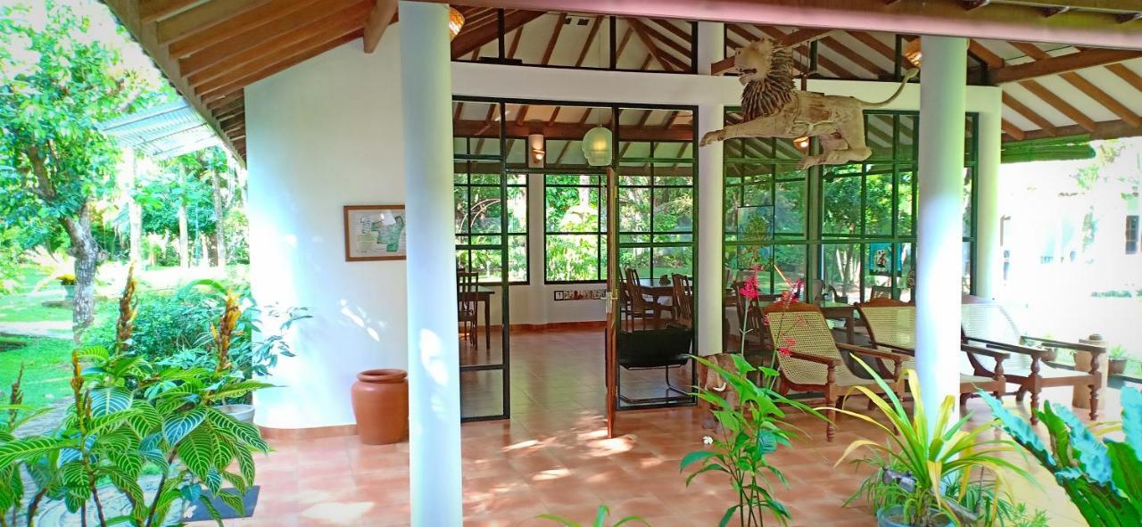Mango House Japanese Guest House Negombo Ngoại thất bức ảnh