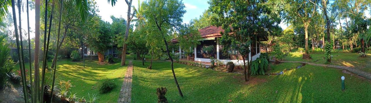 Mango House Japanese Guest House Negombo Ngoại thất bức ảnh