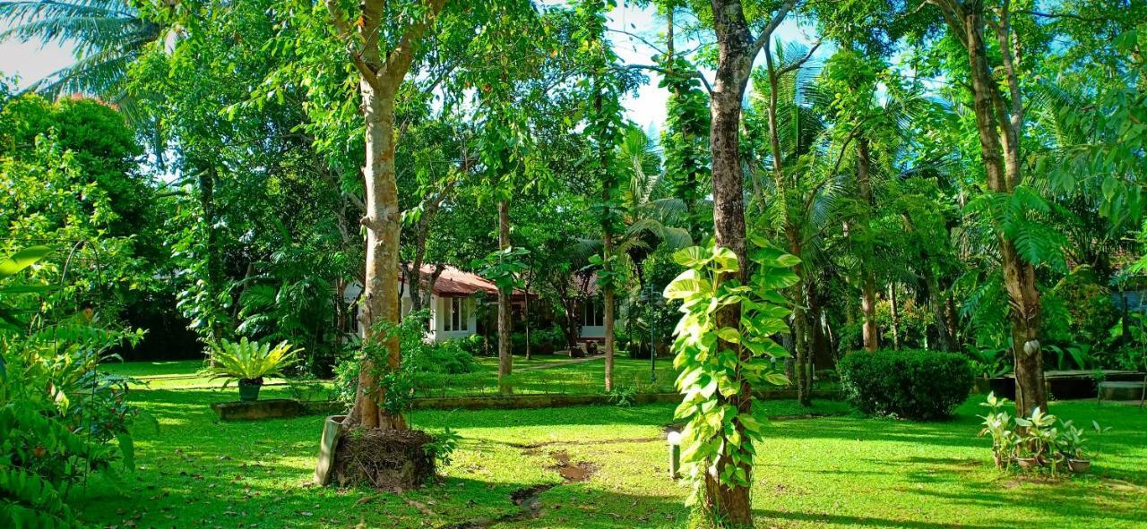 Mango House Japanese Guest House Negombo Ngoại thất bức ảnh